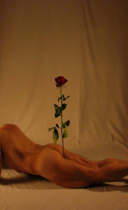 Imagen de Parisien Gigolo Boy Escort en Barcelona Gigolo Boy Escort Parisien Barcelona